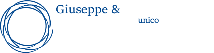 Giuseppe Bonaiti socio unico logo - la storia